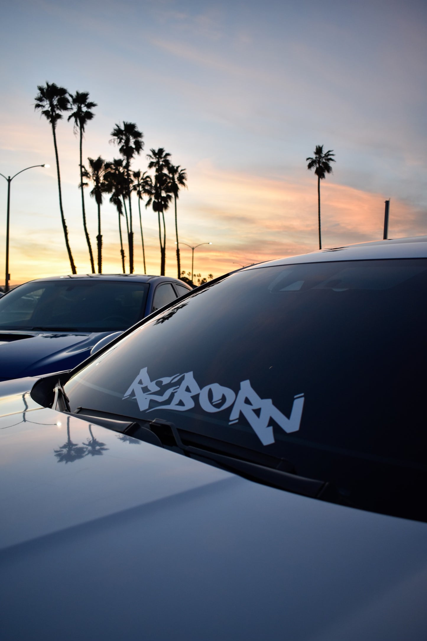 Reborn Graffiti Decal